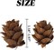 320PCS Natural Mini Pine Cones – 1.18"–1.97" Bulk for DIY Crafts, Home Decoration, Fall, Christmas, and Wedding Decor